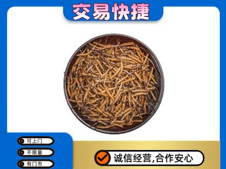 湘潭市雨湖回收散虫草